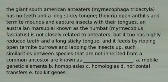 the giant south american anteaters (myrnecophaga tridactyla) has no teeth and a long sticky tongue; they rip open anthills and termite mounds and capture insects with their tongues. an australian marsupial known as the numbat (myrmecobius fasciatus) is not closely related to anteaters, but it too has highly reduced teeth and a long sticky tongue, and it feeds by ripping open termite burrows and lapping the insects up. such similarities between species that are not inherited from a common ancestor are known as _____________________. a. mobile genetic elements b. homoplasies c. homologies d. horizontal transfers e. toolkit genes