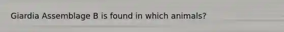 Giardia Assemblage B is found in which animals?