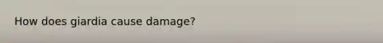 How does giardia cause damage?