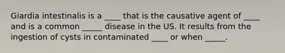 Giardia intestinalis is a ____ that is the causative agent of ____ and is a common _____ disease in the US. It results from the ingestion of cysts in contaminated ____ or when _____.