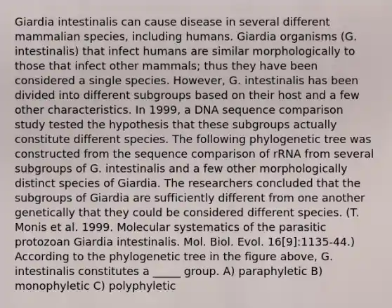 Giardia intestinalis can cause disease in several different mammalian species, including humans. Giardia organisms (G. intestinalis) that infect humans are similar morphologically to those that infect other mammals; thus they have been considered a single species. However, G. intestinalis has been divided into different subgroups based on their host and a few other characteristics. In 1999, a DNA sequence comparison study tested the hypothesis that these subgroups actually constitute different species. The following phylogenetic tree was constructed from the sequence comparison of rRNA from several subgroups of G. intestinalis and a few other morphologically distinct species of Giardia. The researchers concluded that the subgroups of Giardia are sufficiently different from one another genetically that they could be considered different species. (T. Monis et al. 1999. Molecular systematics of the parasitic protozoan Giardia intestinalis. Mol. Biol. Evol. 16[9]:1135-44.) According to the phylogenetic tree in the figure above, G. intestinalis constitutes a _____ group. A) paraphyletic B) monophyletic C) polyphyletic