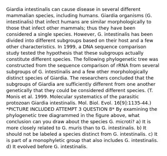 Giardia intestinalis can cause disease in several different mammalian species, including humans. Giardia organisms (G. intestinalis) that infect humans are similar morphologically to those that infect other mammals; thus they have been considered a single species. However, G. intestinalis has been divided into different subgroups based on their host and a few other characteristics. In 1999, a DNA sequence comparison study tested the hypothesis that these subgroups actually constitute different species. The following phylogenetic tree was constructed from the sequence comparison of rRNA from several subgroups of G. intestinalis and a few other morphologically distinct species of Giardia. The researchers concluded that the subgroups of Giardia are sufficiently different from one another genetically that they could be considered different species. (T. Monis et al. 1999. Molecular systematics of the parasitic protozoan Giardia intestinalis. Mol. Biol. Evol. 16[9]:1135-44.) *PICTURE INCLUDED ATTEMPT 3 QUESTION 8* By examining the phylogenetic tree diagrammed in the figure above, what conclusion can you draw about the species G. microti? a) It is more closely related to G. muris than to G. intestinalis. b) It should not be labeled a species distinct from G. intestinalis. c) It is part of a monophyletic group that also includes G. intestinalis. d) It evolved before G. intestinalis.