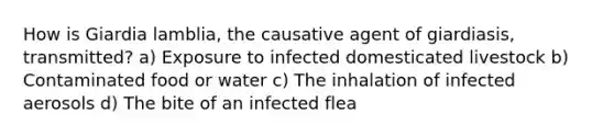 How is Giardia lamblia, the causative agent of giardiasis, transmitted? a) Exposure to infected domesticated livestock b) Contaminated food or water c) The inhalation of infected aerosols d) The bite of an infected flea