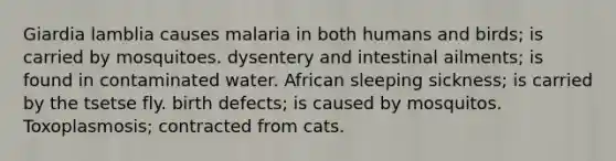 Giardia lamblia causes malaria in both humans and birds; is carried by mosquitoes. dysentery and intestinal ailments; is found in contaminated water. African sleeping sickness; is carried by the tsetse fly. birth defects; is caused by mosquitos. Toxoplasmosis; contracted from cats.