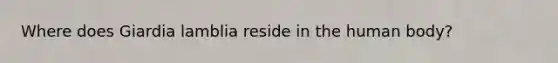 Where does Giardia lamblia reside in the human body?
