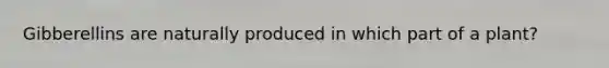 Gibberellins are naturally produced in which part of a plant?