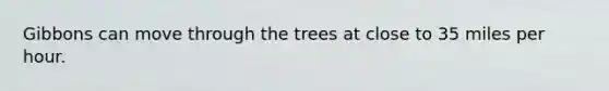 Gibbons can move through the trees at close to 35 miles per hour.