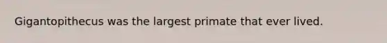 Gigantopithecus was the largest primate that ever lived.