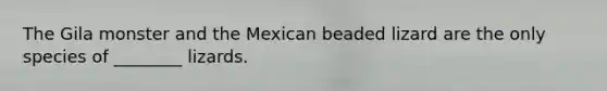 The Gila monster and the Mexican beaded lizard are the only species of ________ lizards.