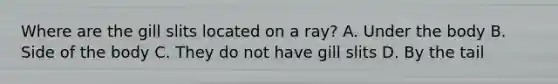 Where are the gill slits located on a ray? A. Under the body B. Side of the body C. They do not have gill slits D. By the tail