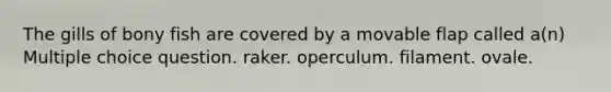The gills of bony fish are covered by a movable flap called a(n) Multiple choice question. raker. operculum. filament. ovale.