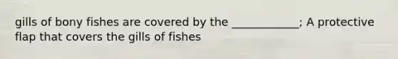 gills of bony fishes are covered by the ____________; A protective flap that covers the gills of fishes