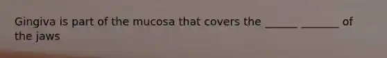Gingiva is part of the mucosa that covers the ______ _______ of the jaws