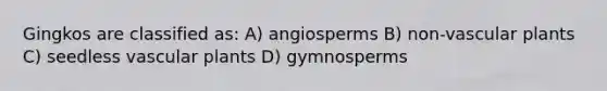 Gingkos are classified as: A) angiosperms B) non-vascular plants C) seedless vascular plants D) gymnosperms