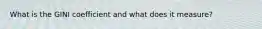 What is the GINI coefficient and what does it measure?