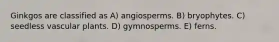 Ginkgos are classified as A) angiosperms. B) bryophytes. C) seedless vascular plants. D) gymnosperms. E) ferns.