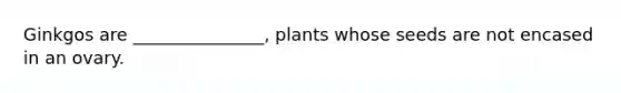 Ginkgos are _______________, plants whose seeds are not encased in an ovary.