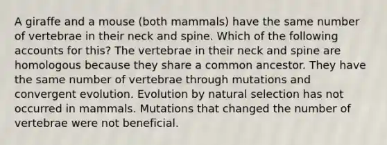 A giraffe and a mouse (both mammals) have the same number of vertebrae in their neck and spine. Which of the following accounts for this? The vertebrae in their neck and spine are homologous because they share a common ancestor. They have the same number of vertebrae through mutations and convergent evolution. Evolution by natural selection has not occurred in mammals. Mutations that changed the number of vertebrae were not beneficial.