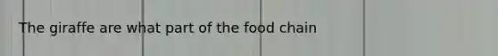 The giraffe are what part of the food chain