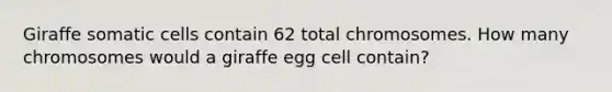 Giraffe somatic cells contain 62 total chromosomes. How many chromosomes would a giraffe egg cell contain?