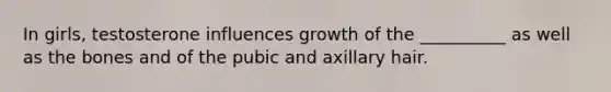 In girls, testosterone influences growth of the __________ as well as the bones and of the pubic and axillary hair.