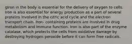 gIron in the body is essential for the delivery of oxygen to cells. Iron is also essential for energy production as a part of several proteins involved in the citric acid cycle and the electron transport chain. Iron- containing proteins are involved in drug metabolism and immune function. Iron is also part of the enzyme catalase, which protects the cells from oxidative damage by destroying hydrogen peroxide before it can form free radicals.