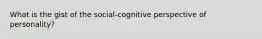 What is the gist of the social-cognitive perspective of personality?