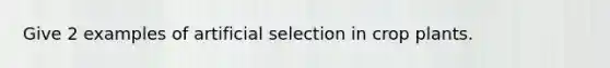 Give 2 examples of artificial selection in crop plants.