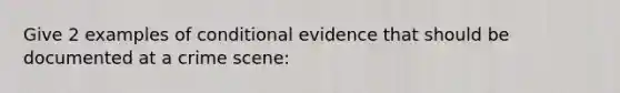 Give 2 examples of conditional evidence that should be documented at a crime scene: