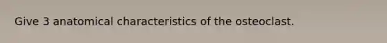 Give 3 anatomical characteristics of the osteoclast.