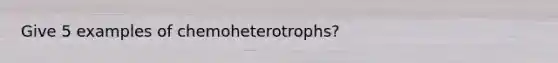 Give 5 examples of chemoheterotrophs?