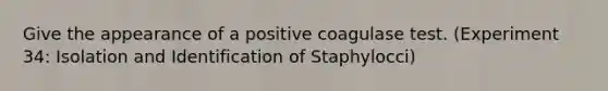 Give the appearance of a positive coagulase test. (Experiment 34: Isolation and Identification of Staphylocci)