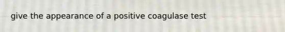 give the appearance of a positive coagulase test