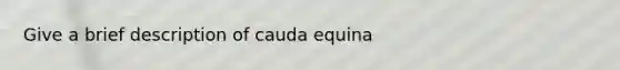 Give a brief description of cauda equina