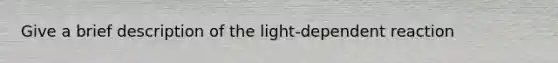 Give a brief description of the <a href='https://www.questionai.com/knowledge/kt4zKQuHCI-light-dependent-reaction' class='anchor-knowledge'>light-dependent reaction</a>