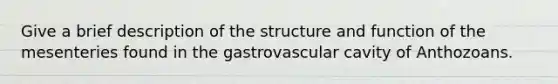 Give a brief description of the structure and function of the mesenteries found in the gastrovascular cavity of Anthozoans.