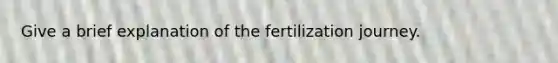 Give a brief explanation of the fertilization journey.