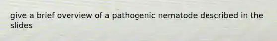 give a brief overview of a pathogenic nematode described in the slides