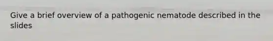 Give a brief overview of a pathogenic nematode described in the slides