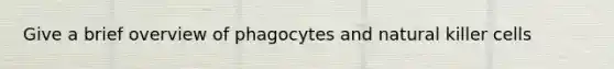 Give a brief overview of phagocytes and natural killer cells