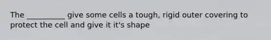 The __________ give some cells a tough, rigid outer covering to protect the cell and give it it's shape