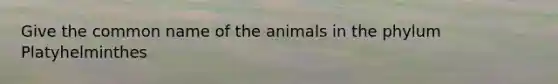 Give the common name of the animals in the phylum Platyhelminthes