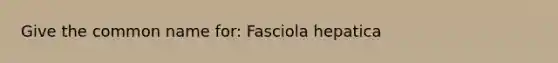 Give the common name for: Fasciola hepatica