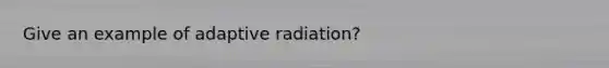 Give an example of adaptive radiation?