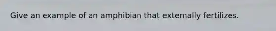 Give an example of an amphibian that externally fertilizes.
