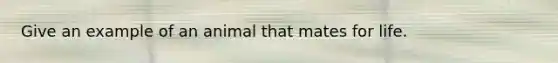 Give an example of an animal that mates for life.