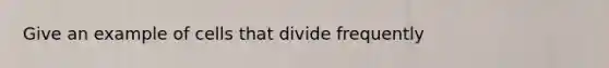 Give an example of cells that divide frequently