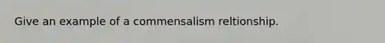 Give an example of a commensalism reltionship.