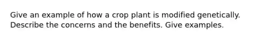 Give an example of how a crop plant is modified genetically. Describe the concerns and the benefits. Give examples.