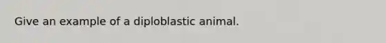 Give an example of a diploblastic animal.